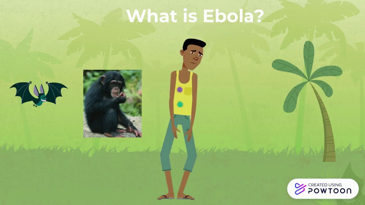 Containment strategies Ebola in the DRC. Group 2.3