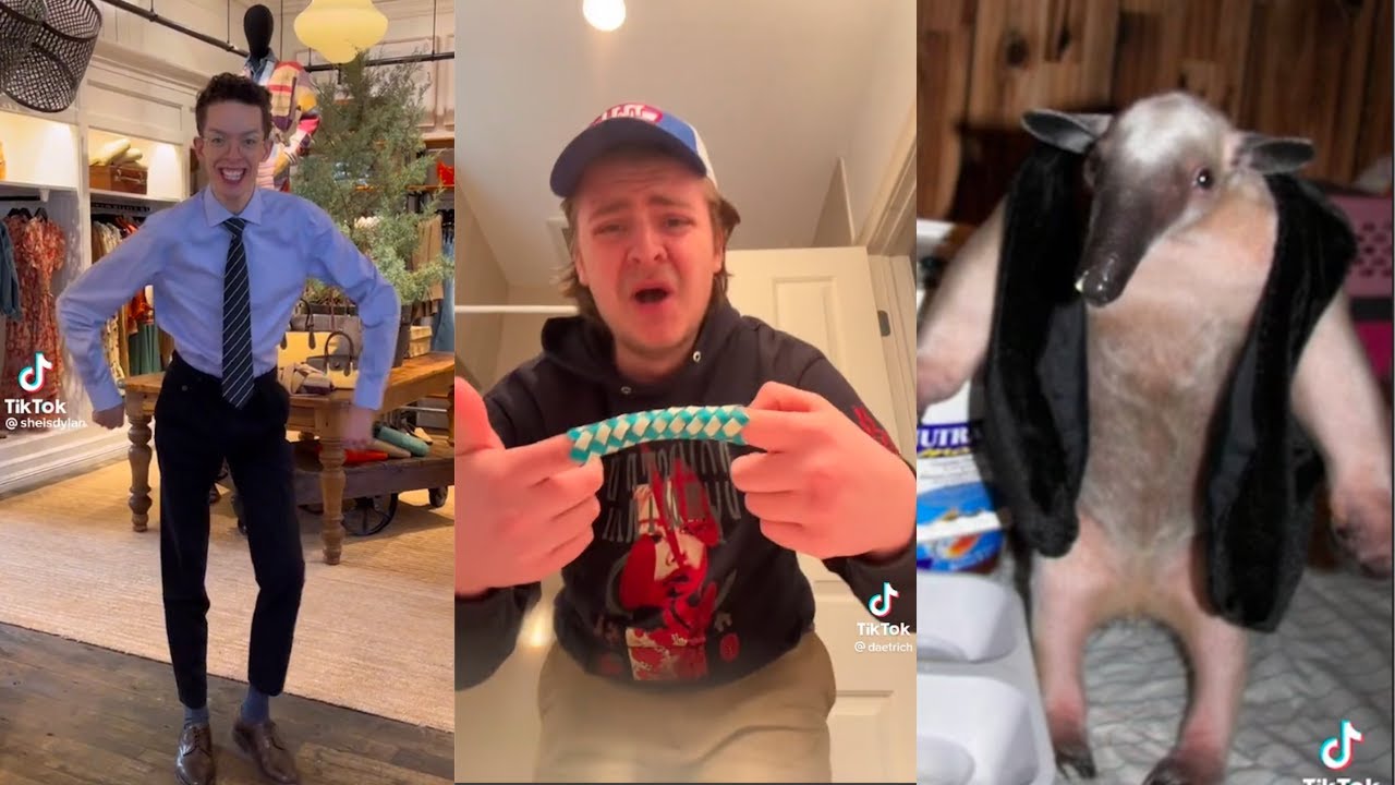 TikTok Memes That Steal Ya Girl