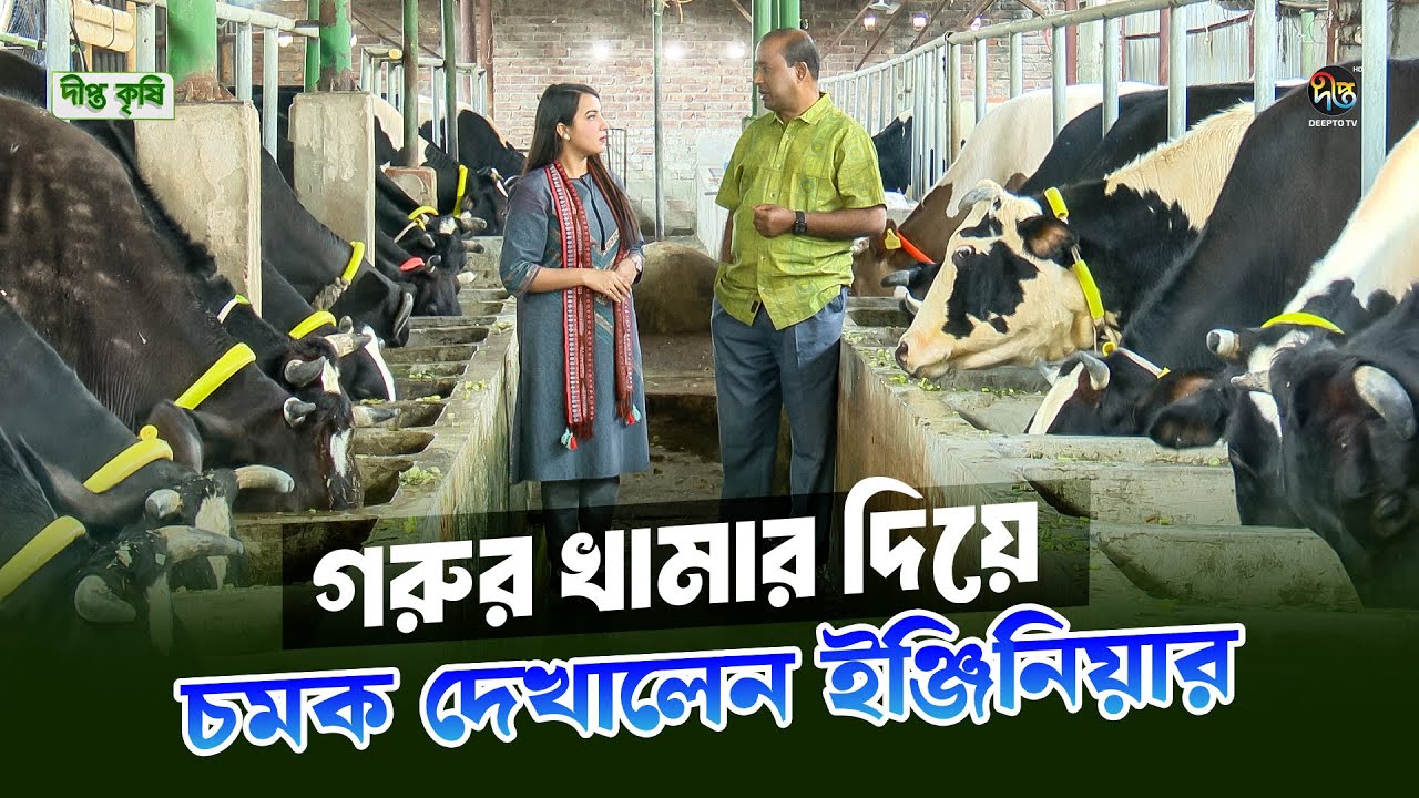 Deepto Krishi | গরুর খামার দিয়ে চমক দেখালেন ইঞ্জিনিয়ার | Cow Farming | 1649 | Deepto TV