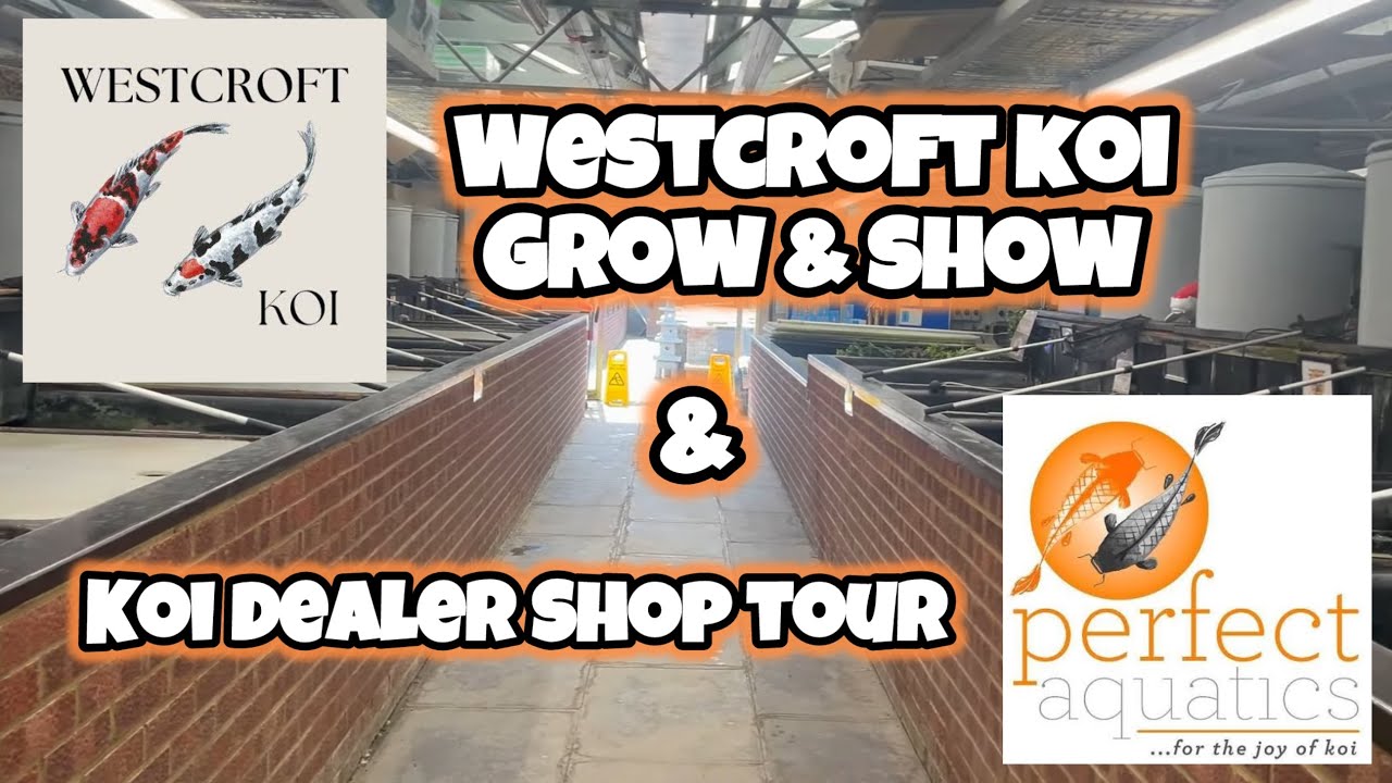 ЧТО МЫ ВЫБРАЛИ? Выставка Westcroft Grow & Show и визит к дилеру!