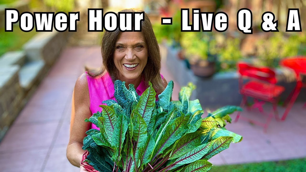 LIVE: Garden Power Hour — Q&A With CaliKim (REPLAY)