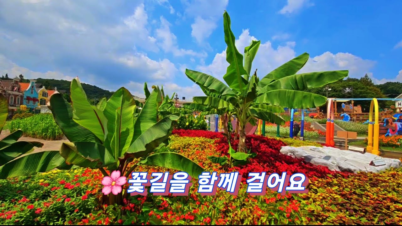 꽃길을 함께 걸어요 
