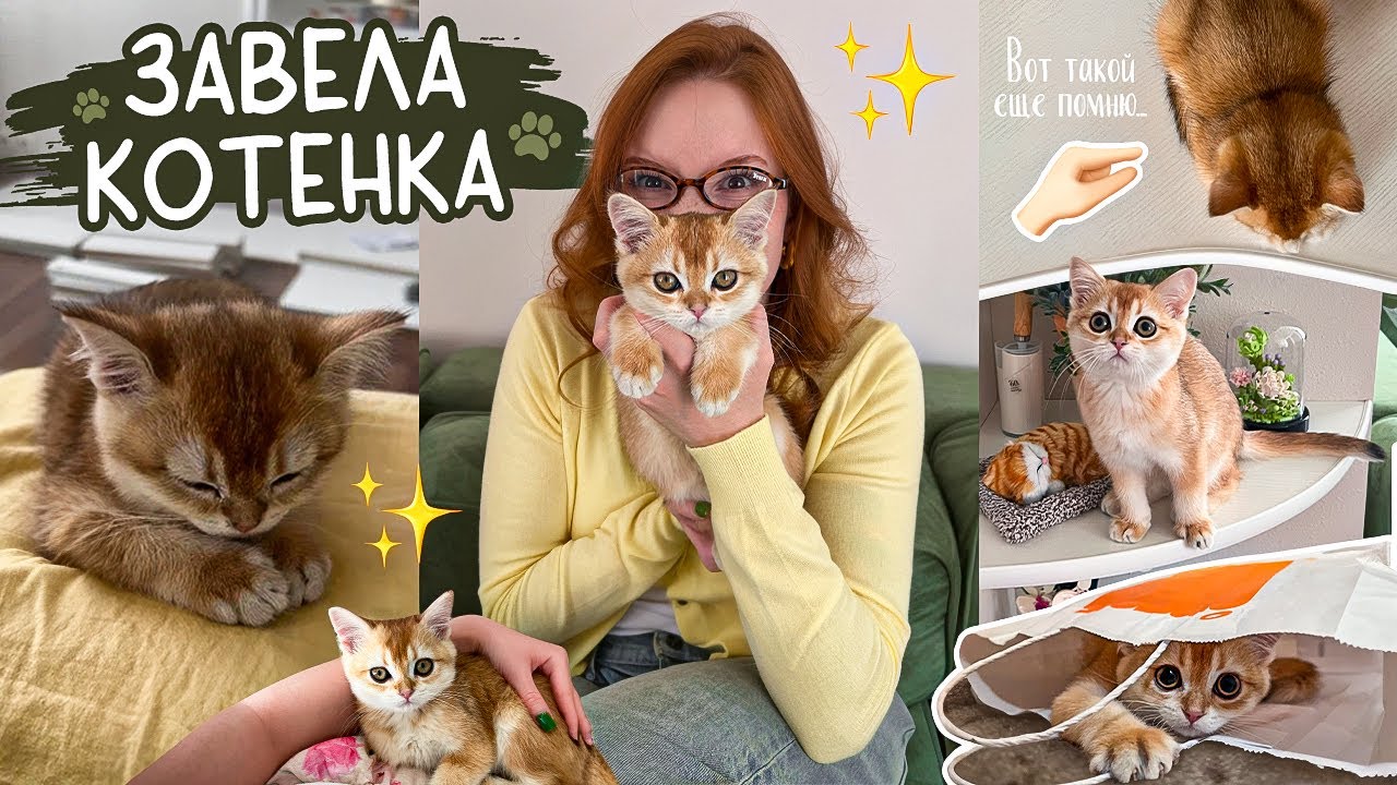 Я ЗАВЕЛА КОТЕНКА / МЕЧТА ДЕТСТВА 🐈 / #ВЛОГ