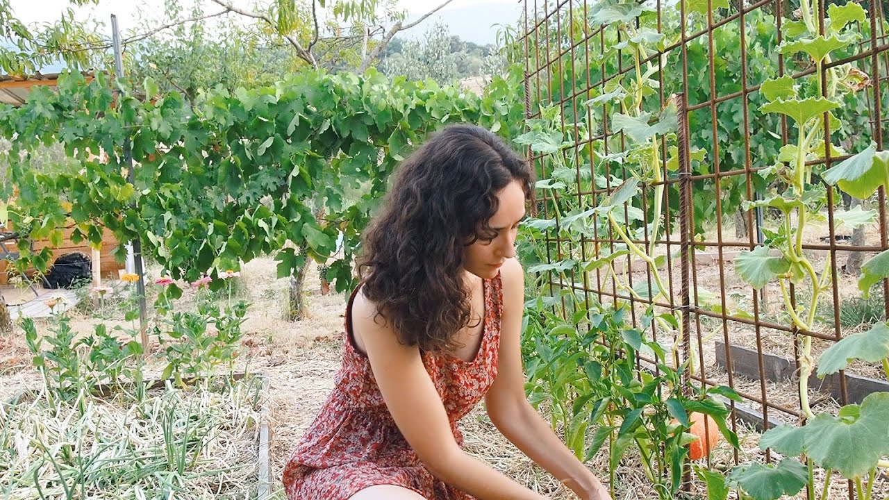 Cómo Mejoré la Tierra de Mi Huerto | El Paso a Paso