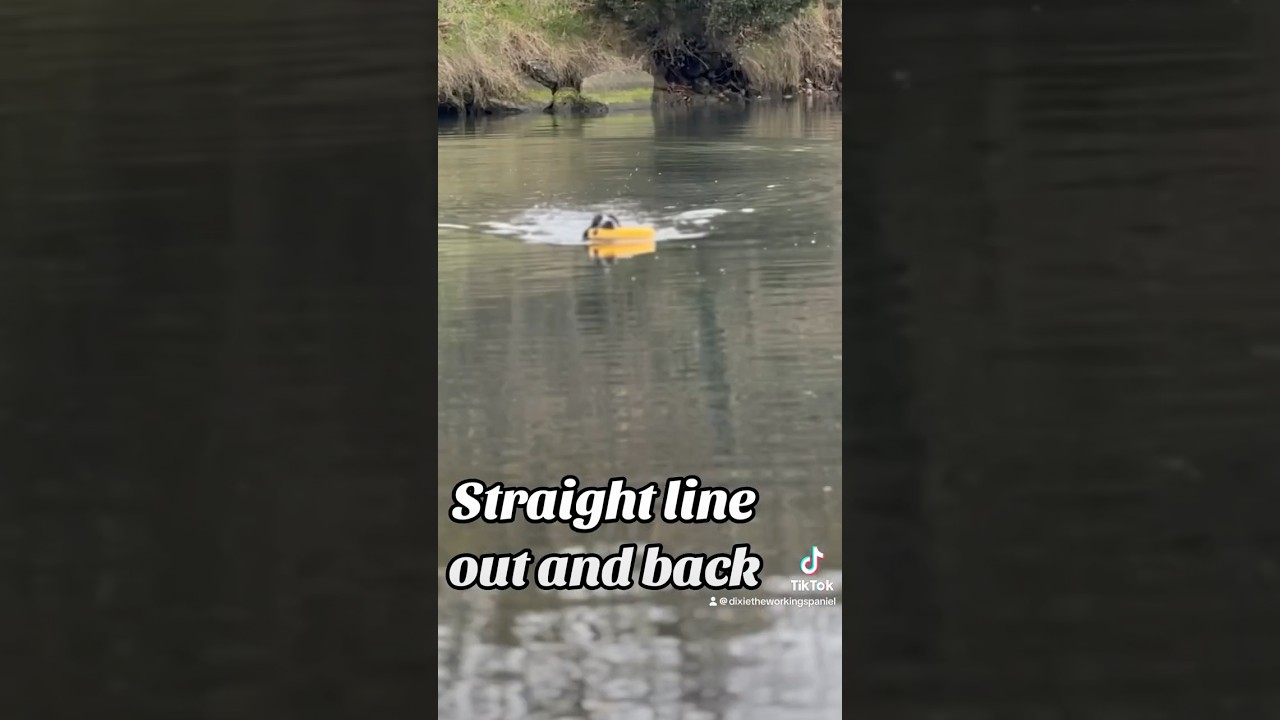 Water retrieving 