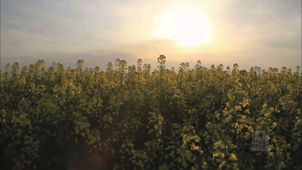 Ave Verum | The Tabernacle Choir