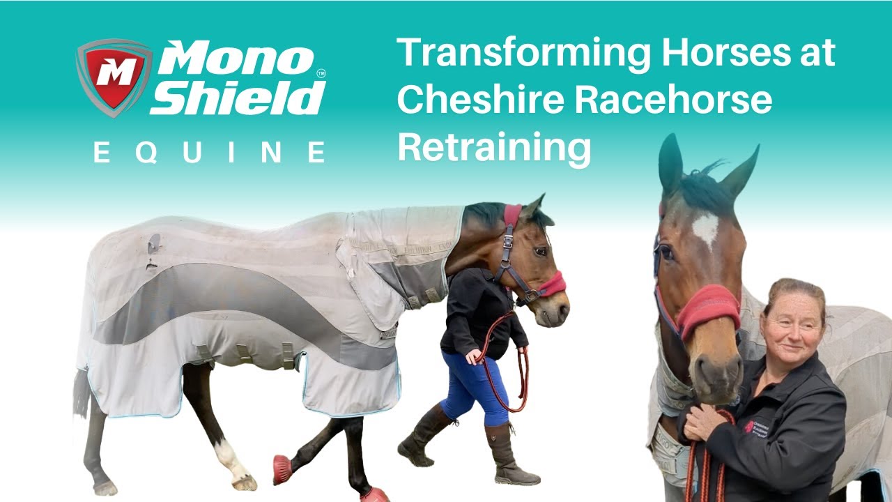 Transforming Horses at Cheshire Racehorse Retraining