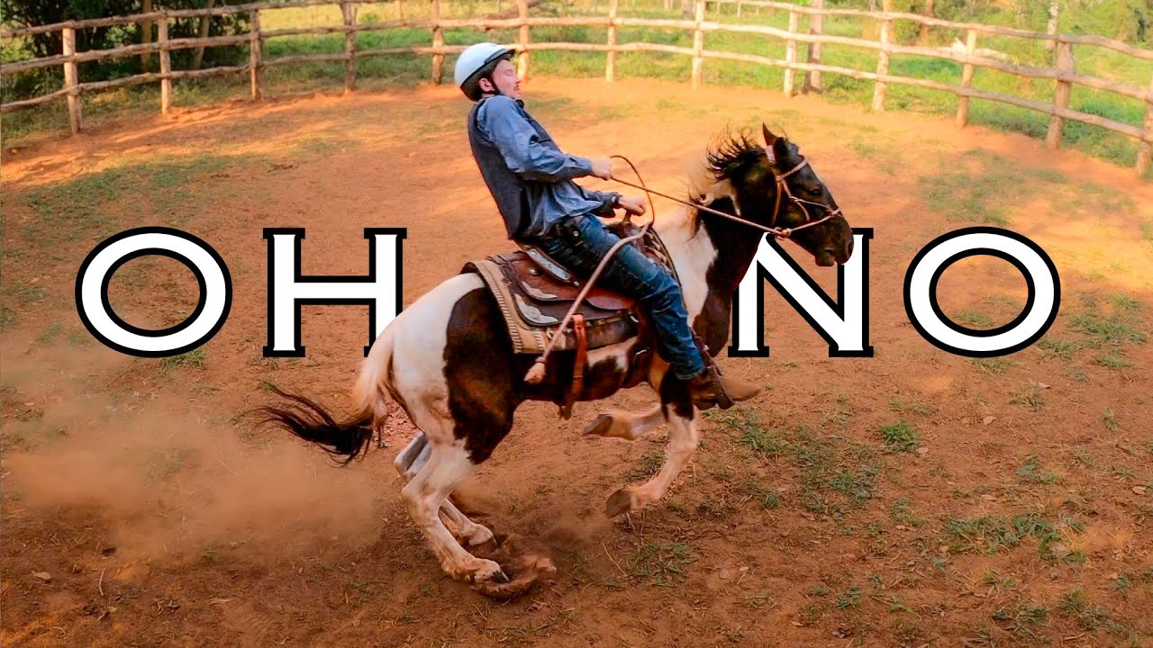 WILD HORSE BUCKS! | Taming A Wild Horse [EP19]