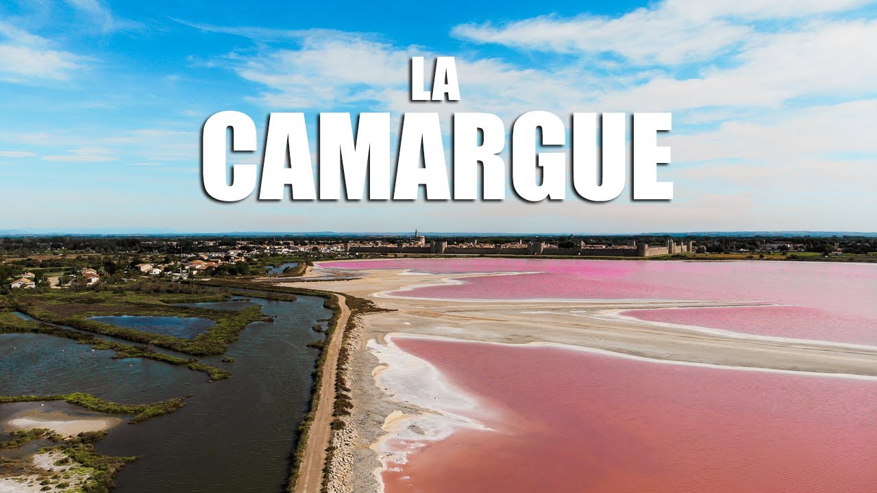 LA CAMARGUE : une ville fortifiée, des salins roses et un tas de flamants roses !