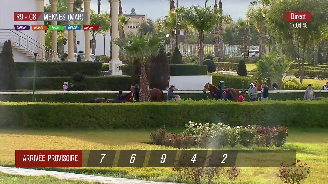 Live Hippodrome « MEKNES » Courses du « 29/01/2026 »