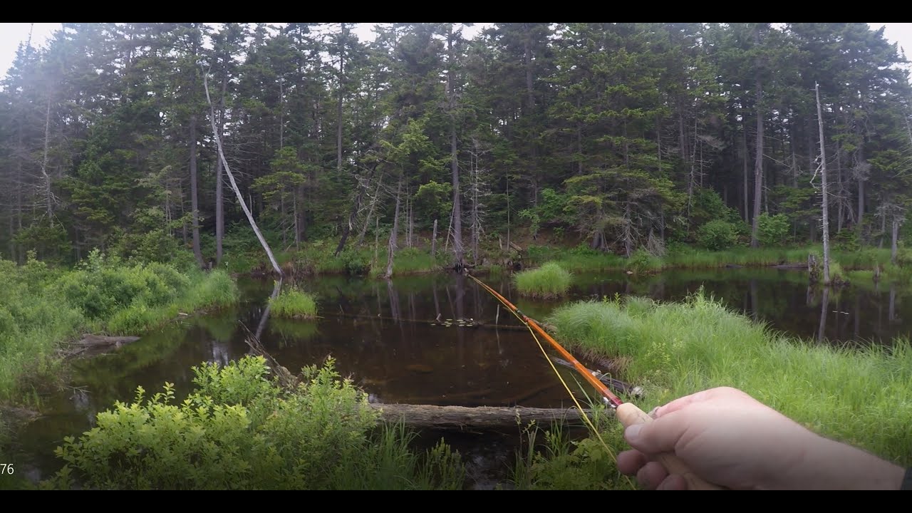 Three Ponds, Hiking and Fly Fishing in a remote region of New Hampshire, Part One