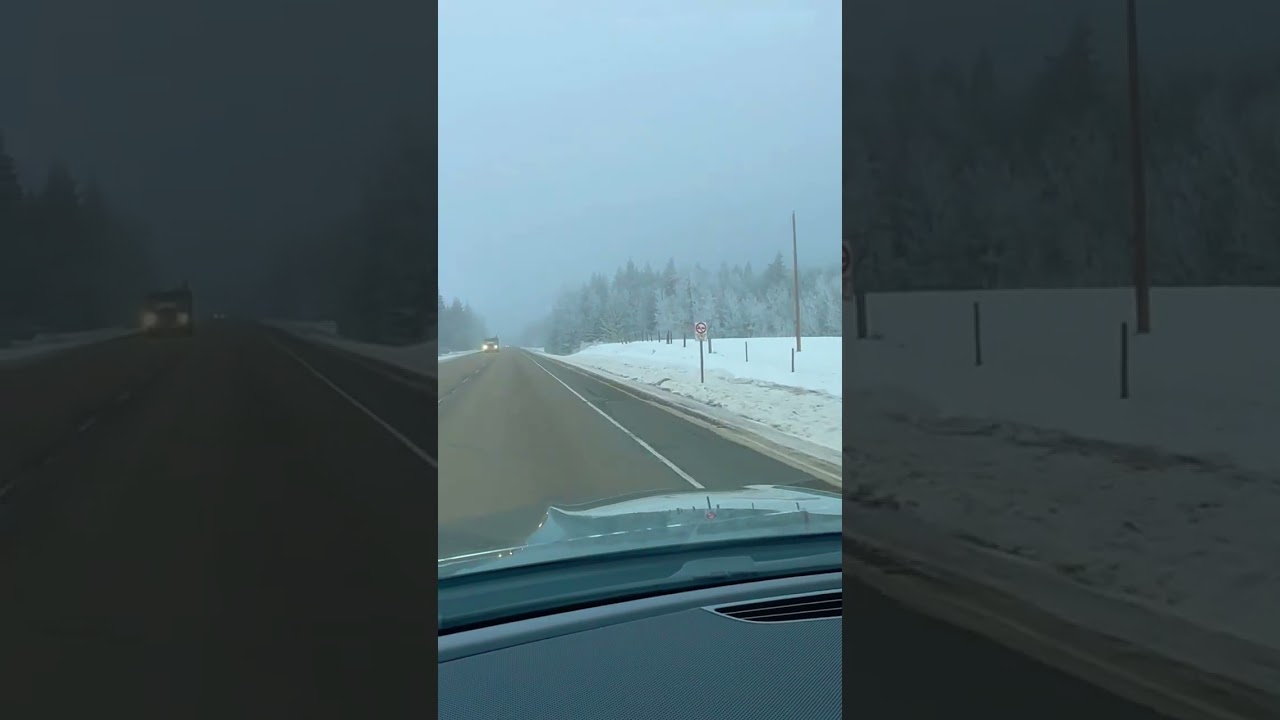 Driving in fog