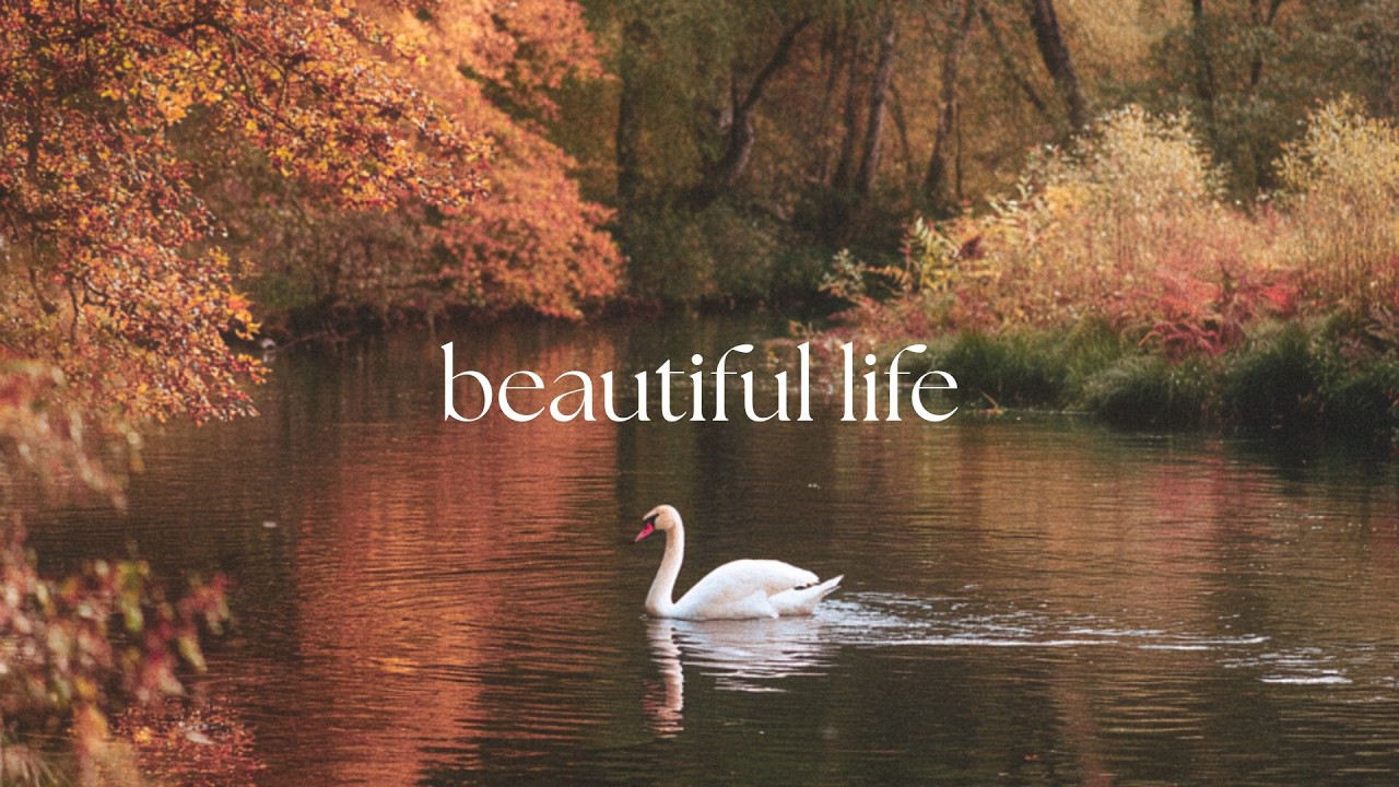 In the quiet moments, I remember it&rsquo;s still a beautiful life