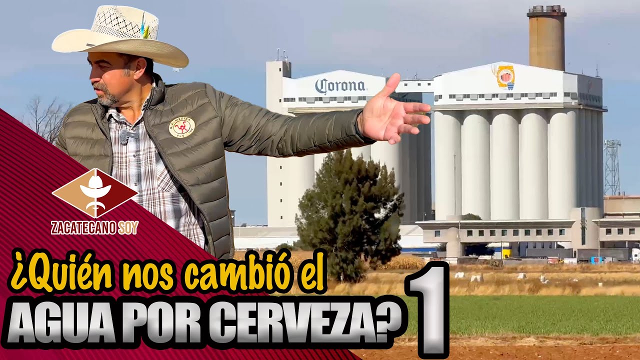 ¿Quién nos cambió el AGUA POR CERVEZA? 1