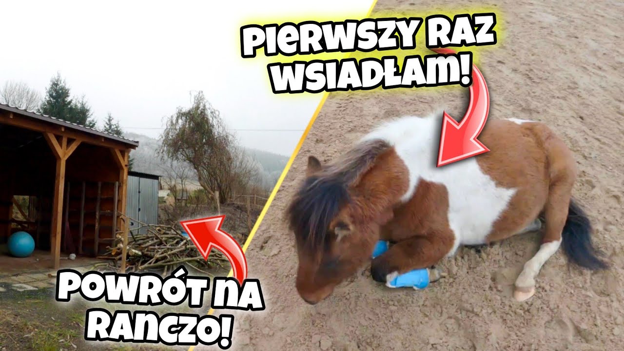 Wróciłam na swoje Ranczo! Pierwszy raz usiadłam na Wilbusia! Vlogmas #2