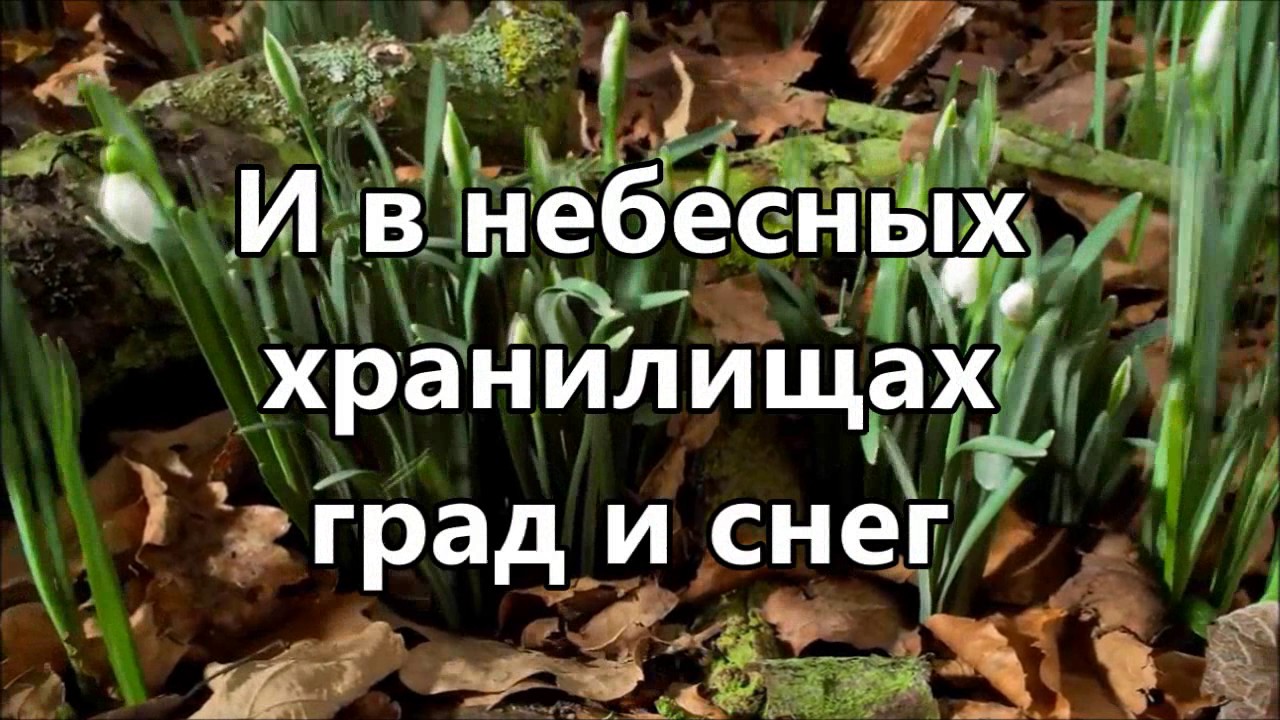 Ты чудесный Бог ( минус )