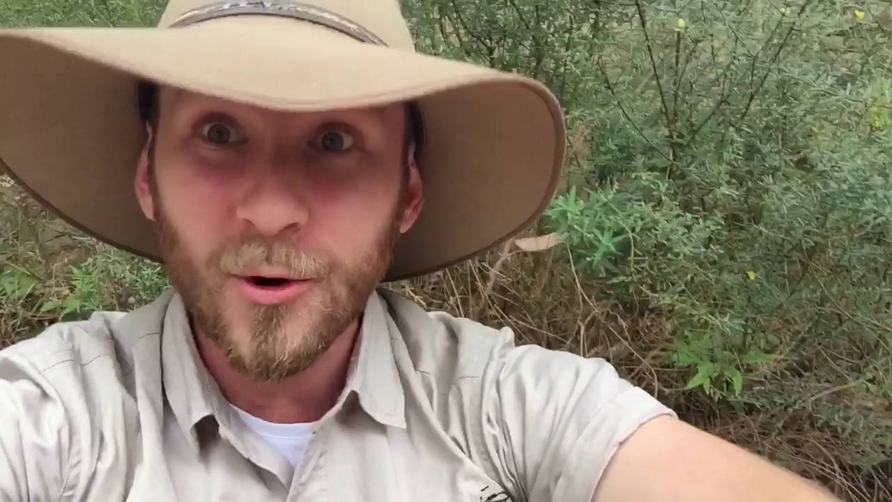 DINGO FENCE with Ranger Jamie