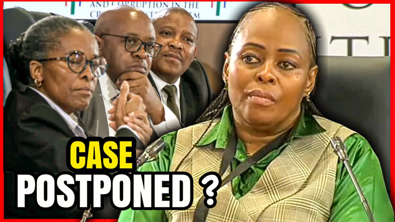 Another Witness With Drama At Madlanga Commission! Case Postponed For a Few Hours