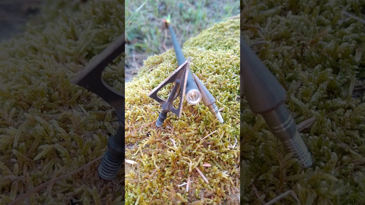 Bogenjagd: Jagdspitze vs. Feldspitze