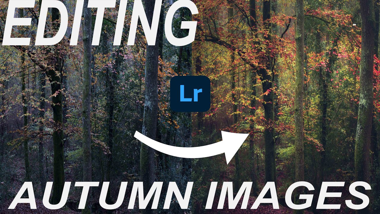 TIPS ON EDITING AUTUMN WOODLAND PHOTOGRAPHY  | LANDSCAPE PHOTOGRAPHY UK