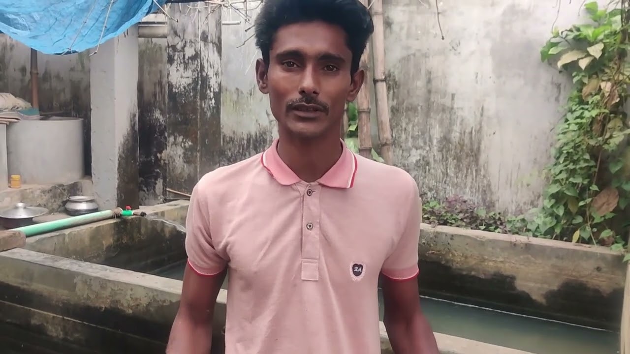 এখানে পাচ্ছেন মাছের ধানিও পোনা সব ধরনের থেকে পাঠায় দিতে পারব আপনাদের বাসা পর্যন্ত সরাসরি পরিবহনের 