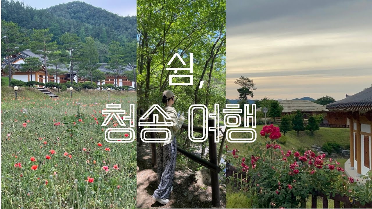 쉼, 청송 2박 3일 힐링 여행 | 주왕산 국립공원 | 청송 소노벨 | 산소까페 청송군 양귀비 꽃 | 한 바이 소노 | 솔빛정원