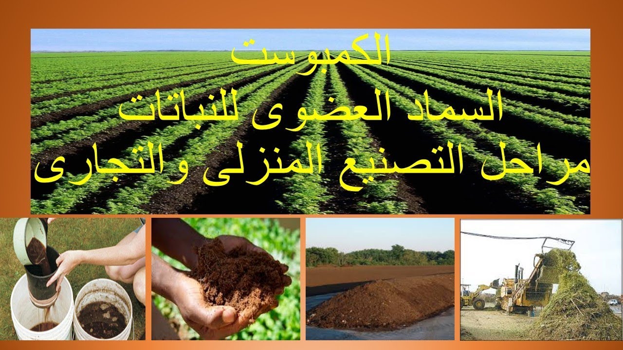 الكمبوست  ومراحل التصنيع التجارى والمنزلى السماد العضوى  الخالى من بذور الحشائش وبيض الحشرات
