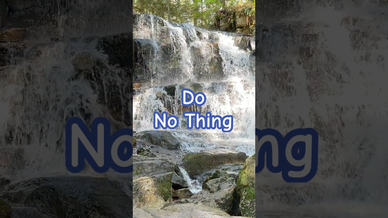 🦥 Do 'No Thing' Challenge 1-1 🦥 New Earth Creations #mindfulness #naturesounds #naturelovers