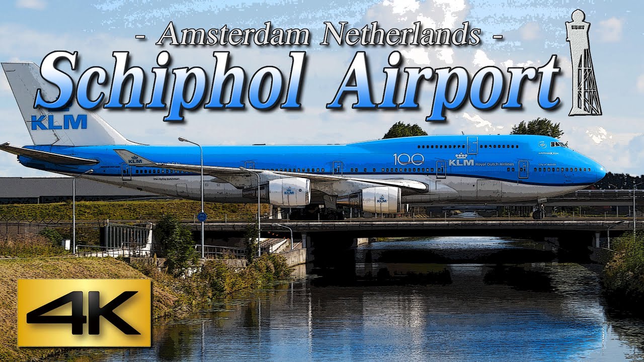 【4K 60P】Special Spotting in AMSTERDAM AIRPORT SCHIPHOL  2019 the Amazing Airport | Plane Spotting