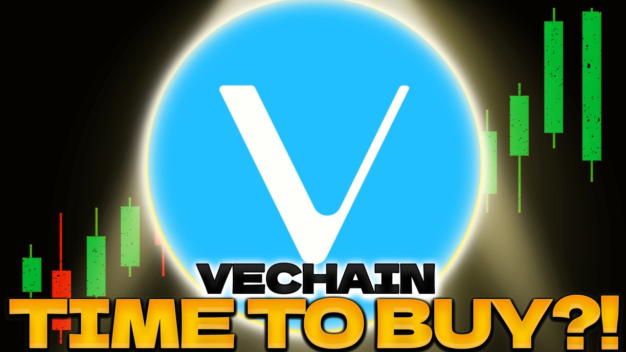 VET Is Dropping, Here's Why I'm Buying Right Now!! - VECHAIN Price Prediction