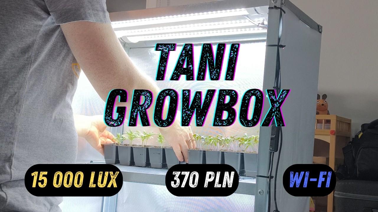 DOMOWY GROWBOX za 370 zł &ndash; POMIDORY rosną jak SZALONE! 🍅🚀