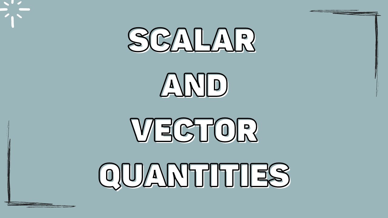 What are Scalar and Vector Quantities?