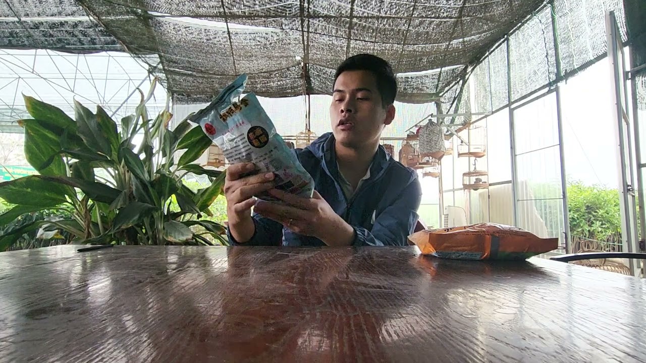 CÓ NÊN DÙNG CÁM TÀU , ĐÁNH GIÁ VỀ CÁM HỌA MI TÀU