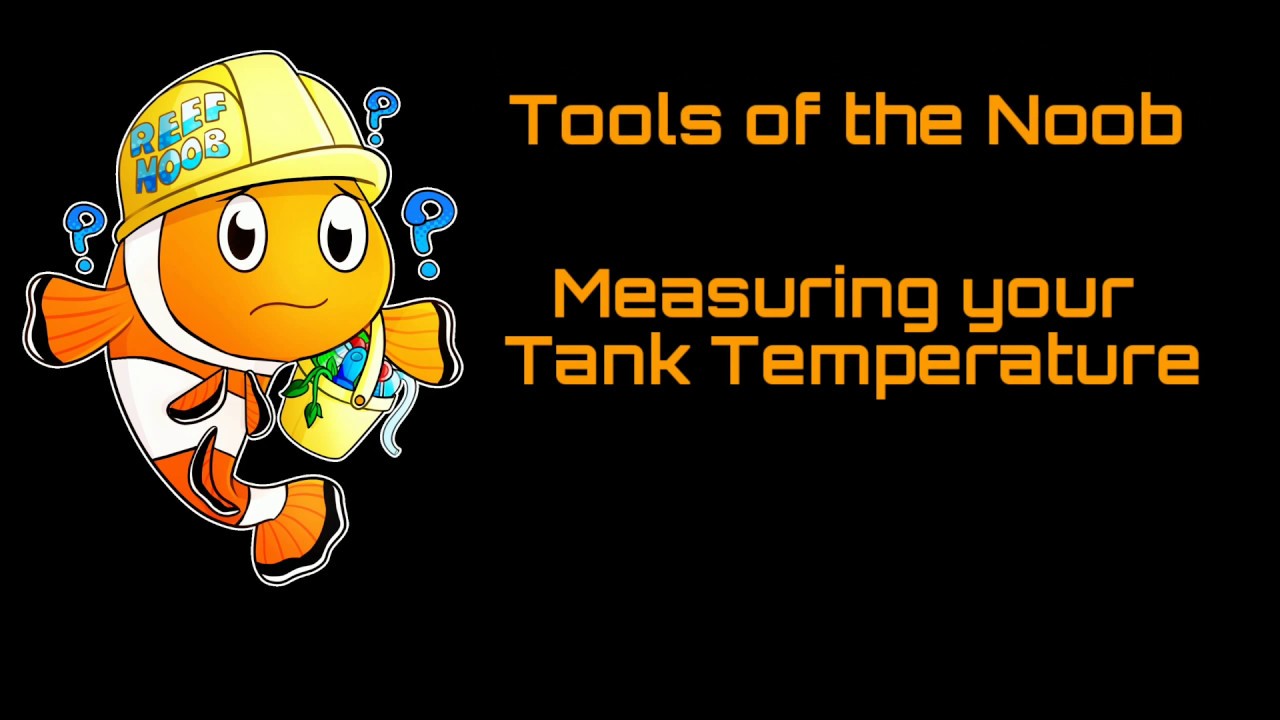 Measuring your Tank Temperature