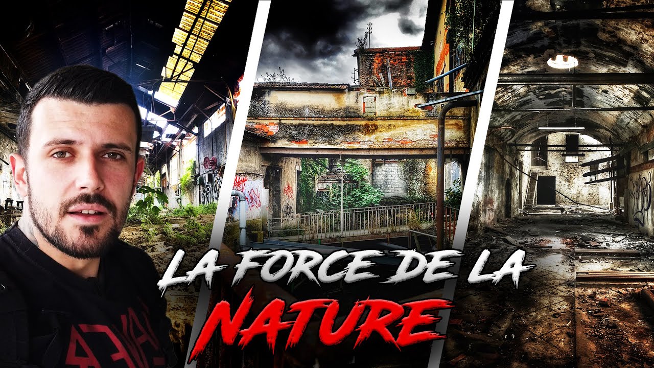 Cette usine abandonn&eacute;e se fait D&Eacute;VORER par la Nature ! Urbex