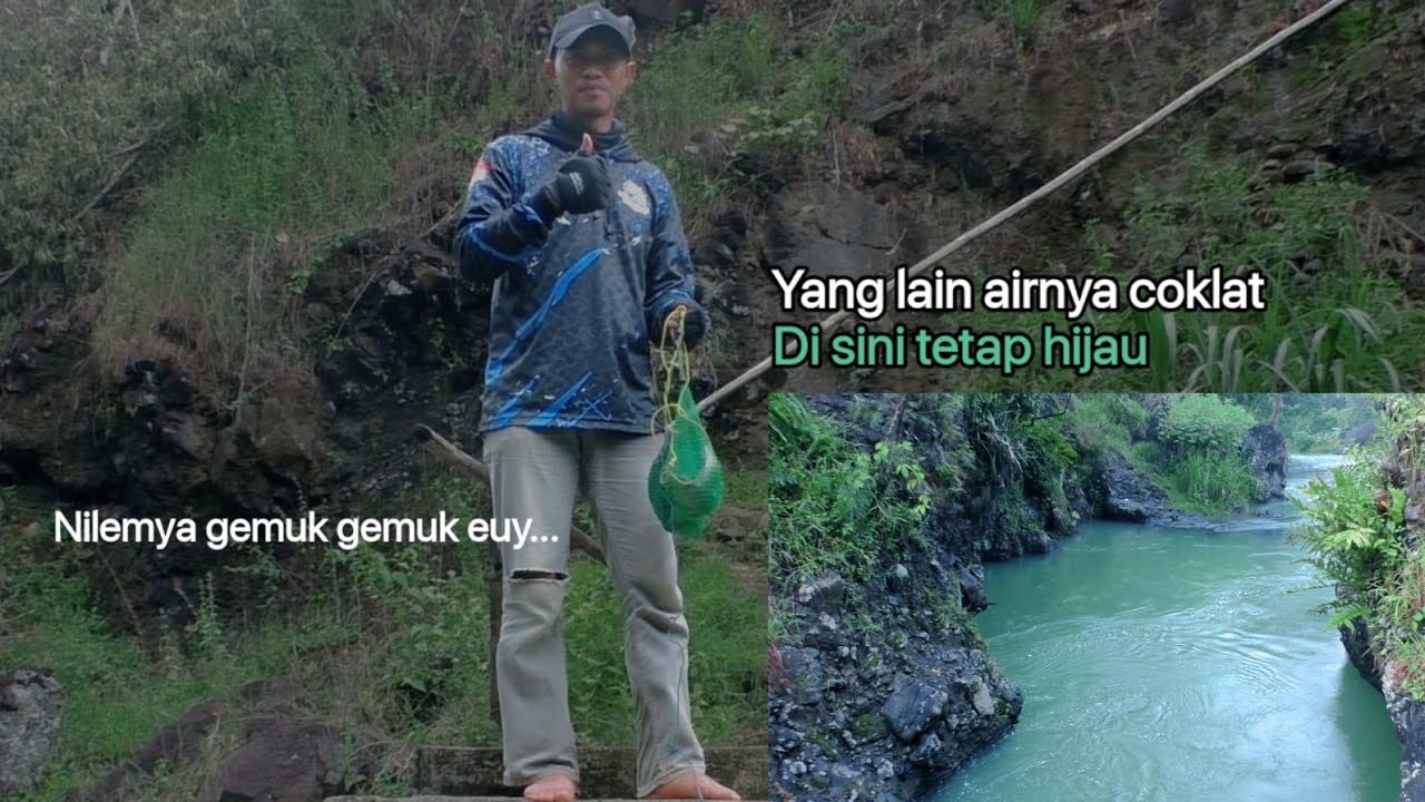 MANCING NILEM DI AIR JERNIH SAAT MUSIM PENGHUJAN❓ KE SPOT MANCING SINI SAJA DIJAMIN BENING✅