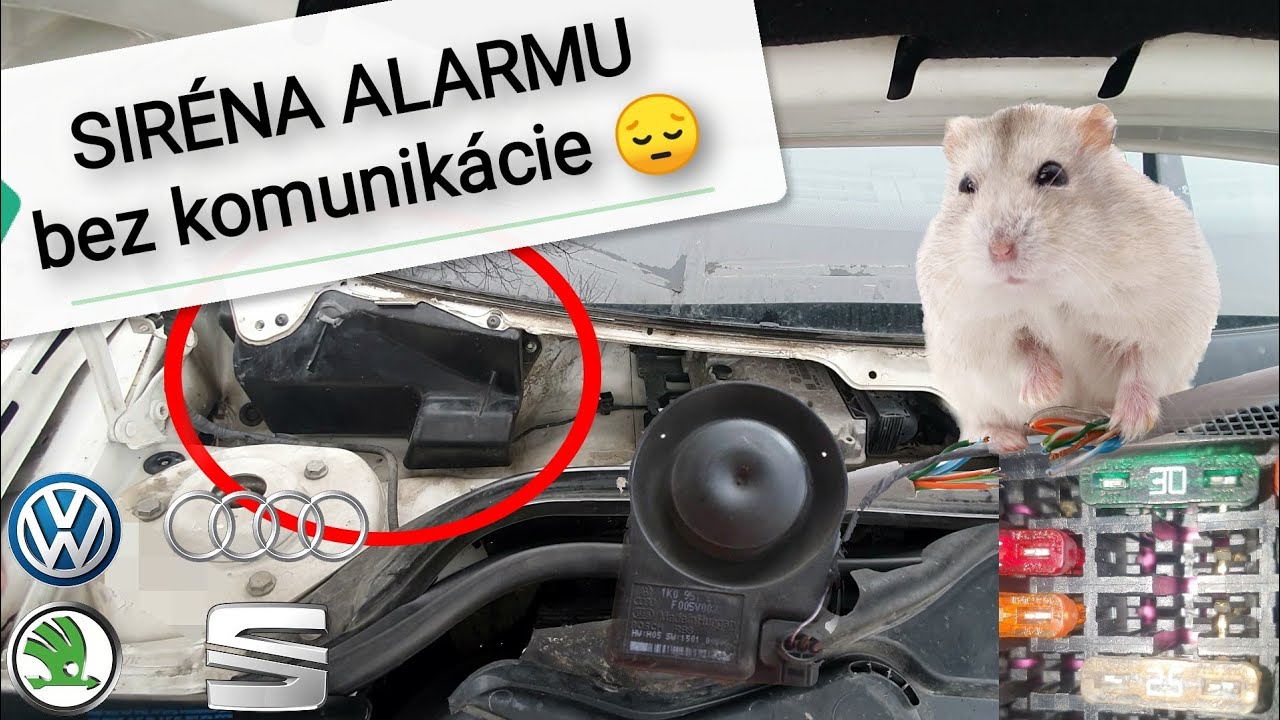 Siréna alarmu - bez komunikácie 😔 VCDS