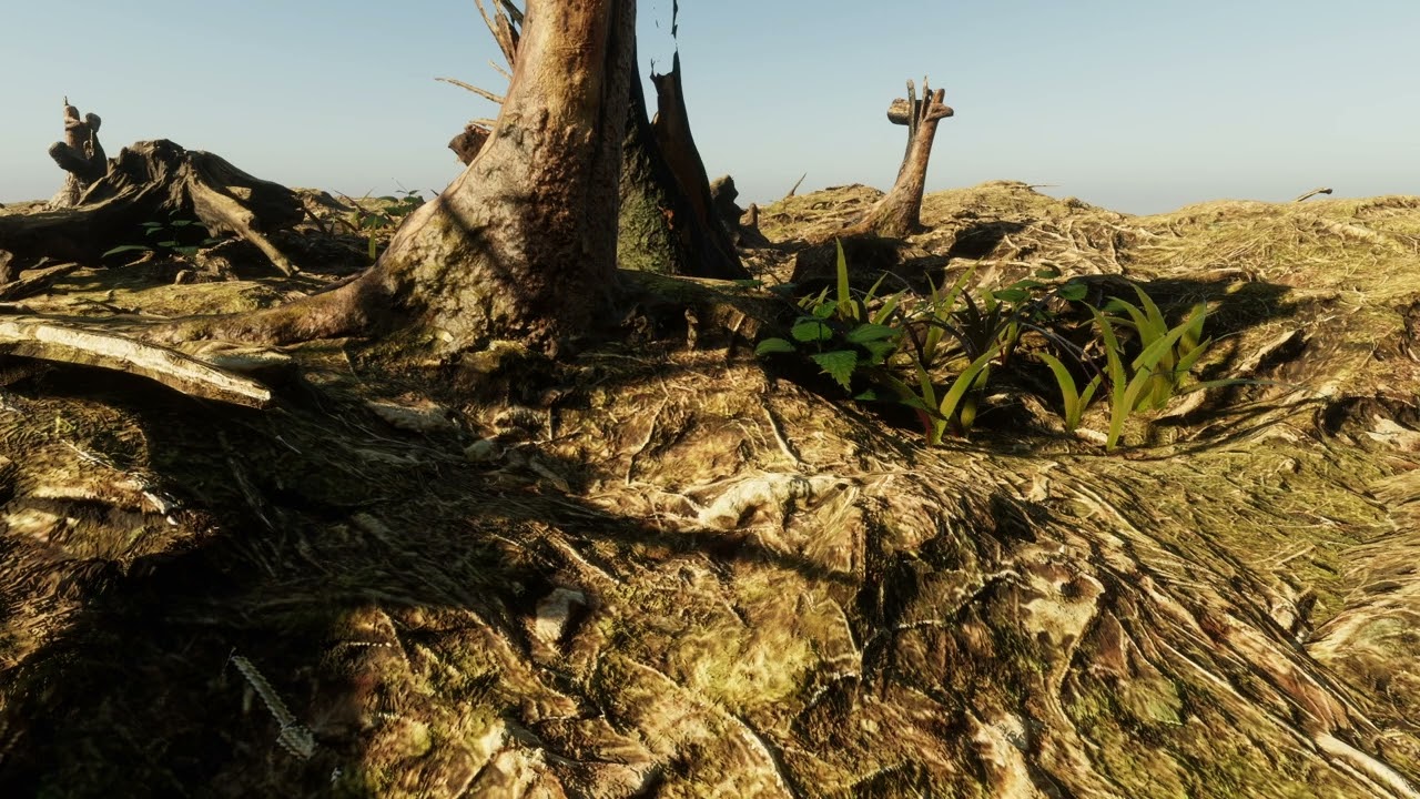 Sound of electronic ambient with Nature graphics