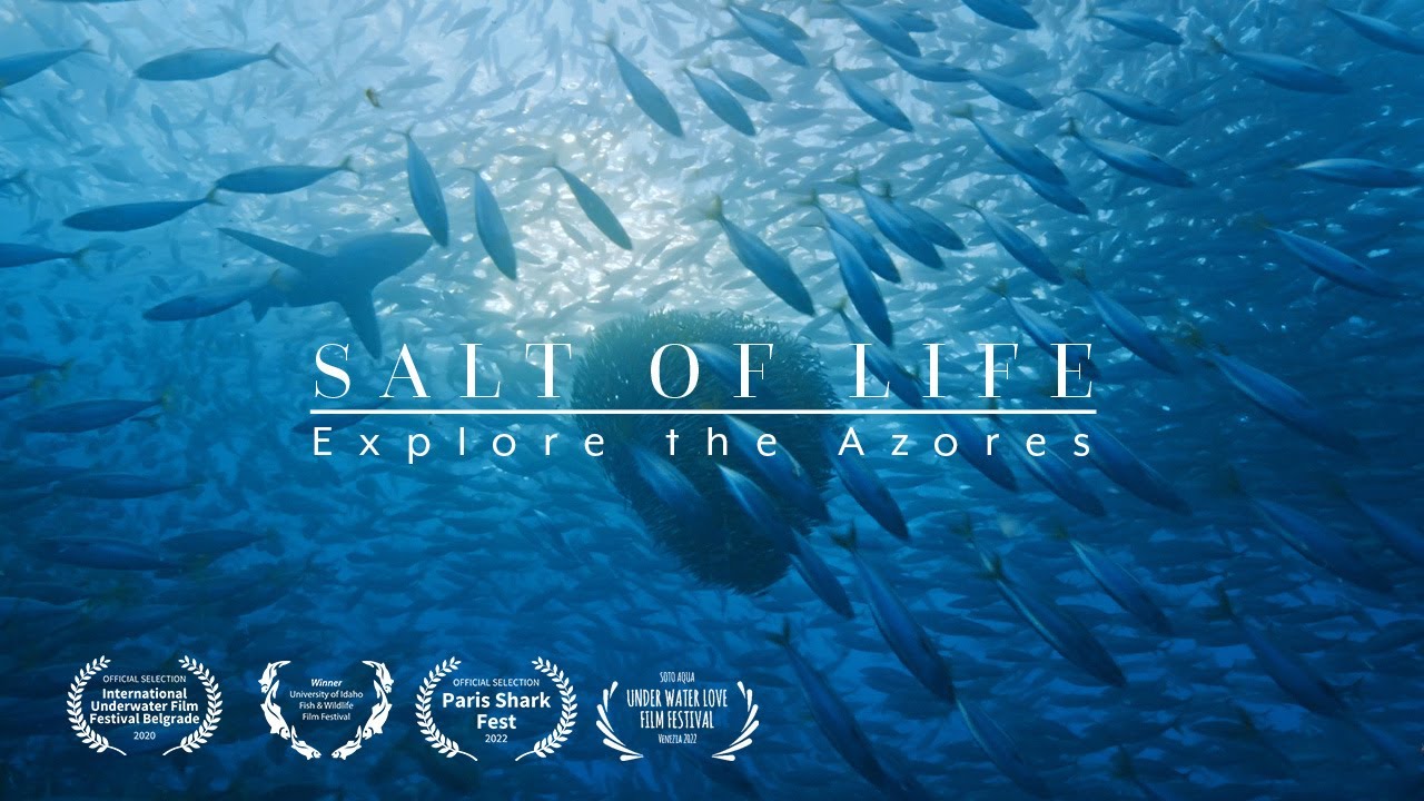 Salt Of Life - Explore the Azores I Real 4K I