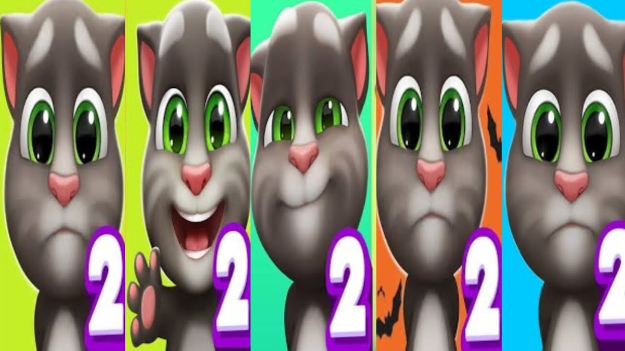 Tom cat 