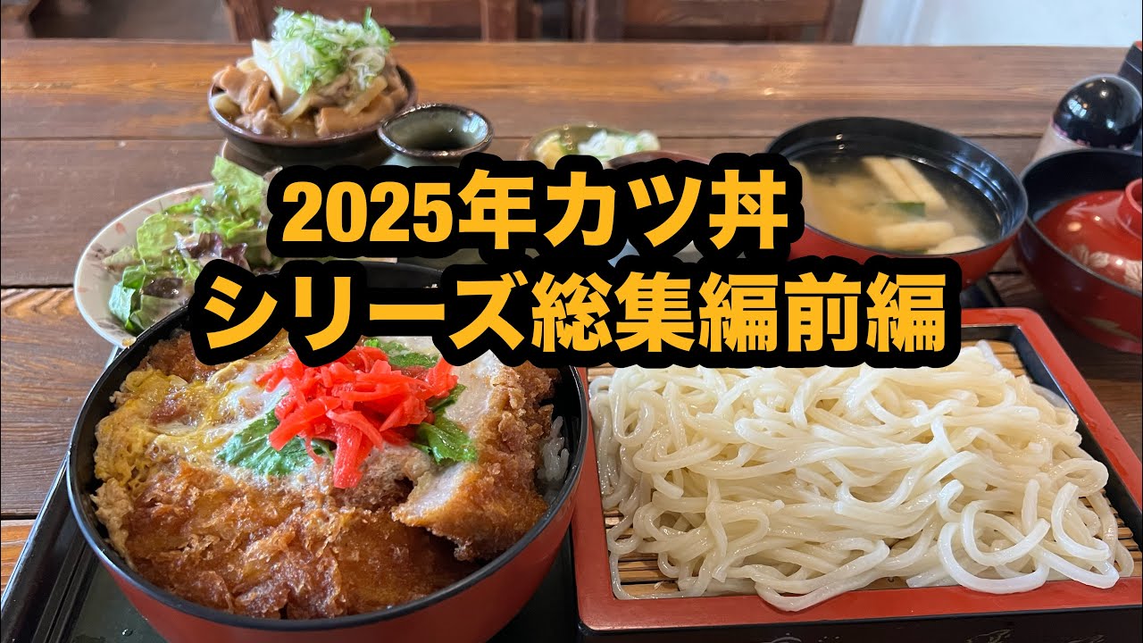【栃木グルメ】2025年カツ丼シリーズ総集編の前半