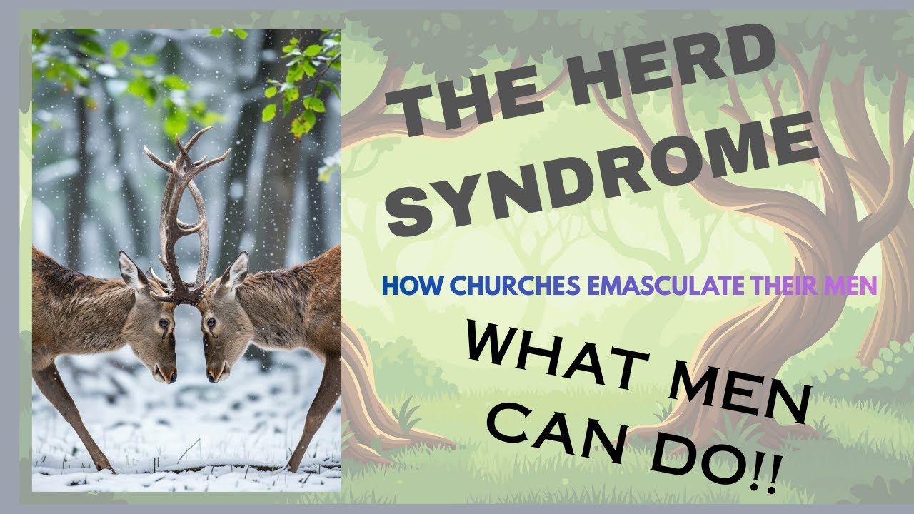 Herd Syndrome Step Two-What Should Men do Next?