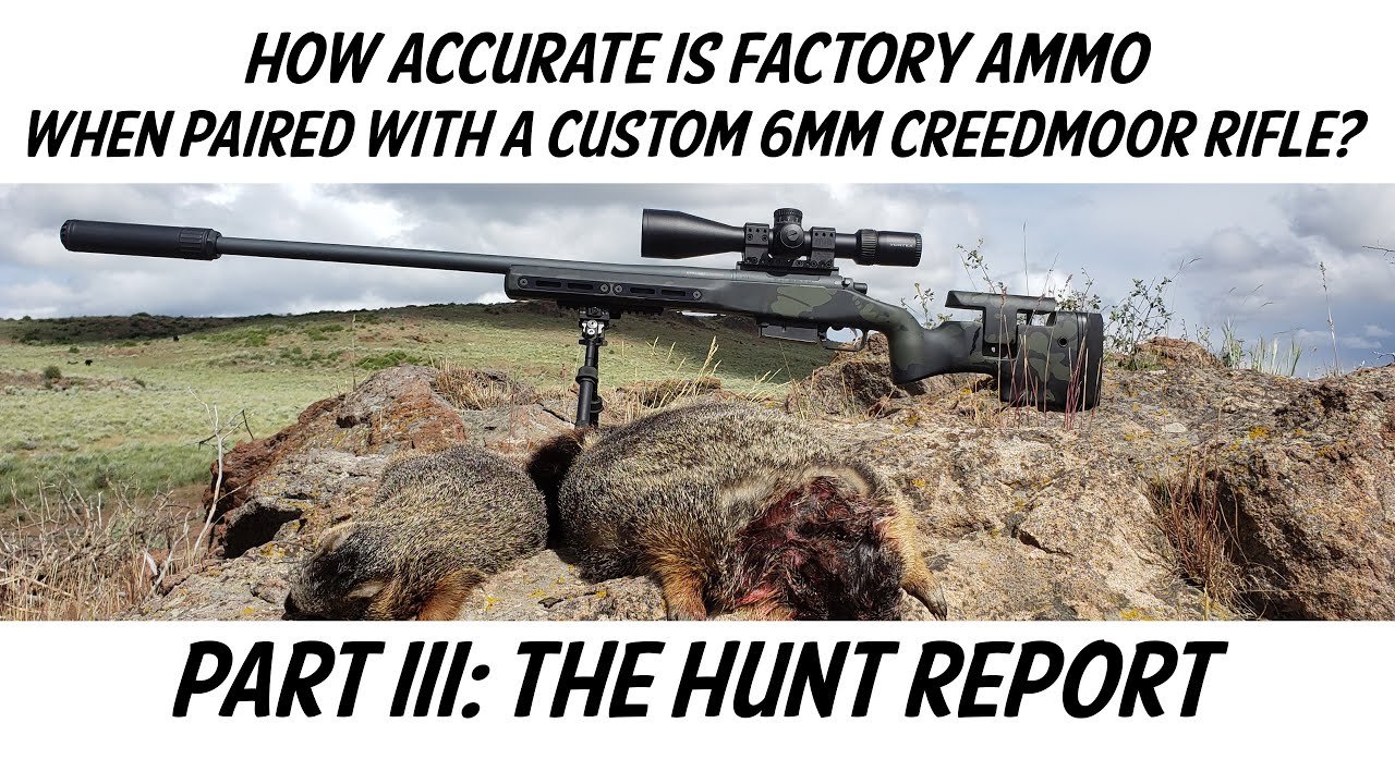 How Accurate Is Factory Ammo when Paired with a Custom 6mm Creedmoor Rifle - Part III: The Hunt