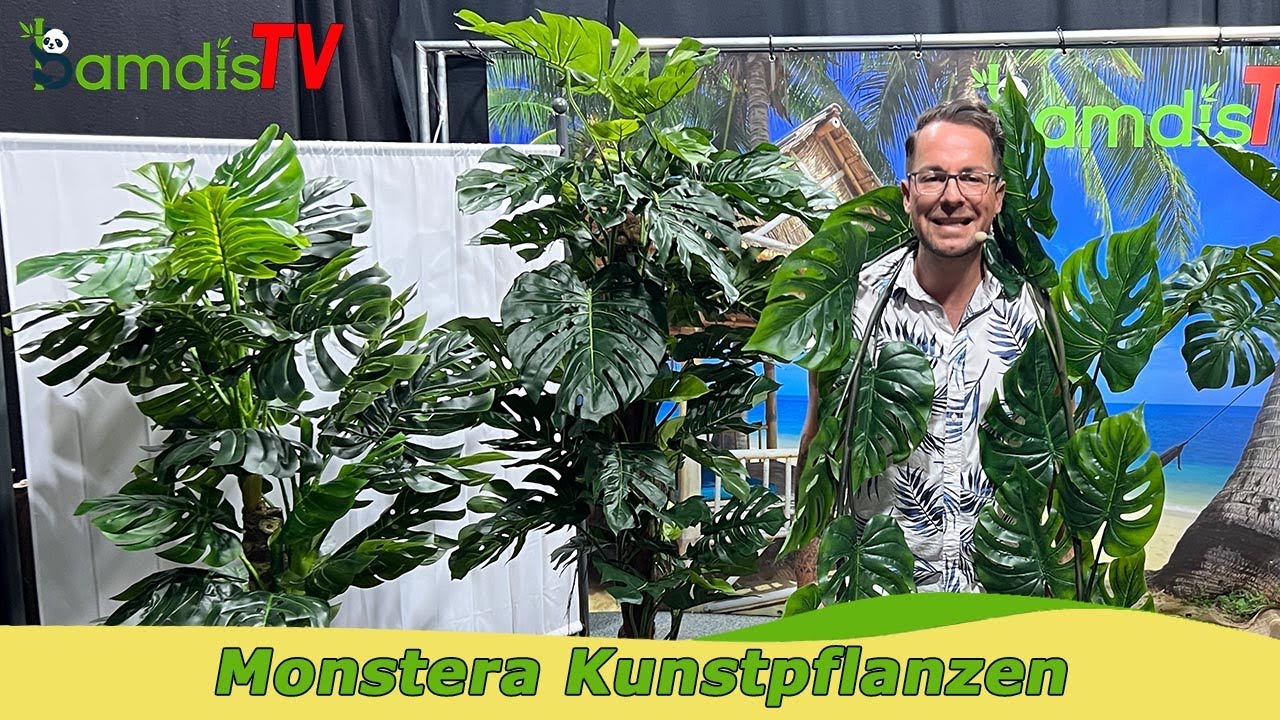 Künstliche Monstera: der Zimmerpflanzen Klassiker! 🪴