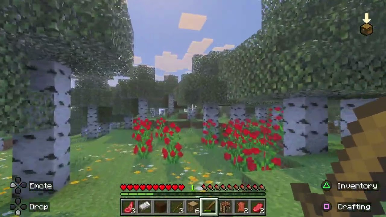 Enjoying Minecraft with this Random Skin and the Graphics is Amazing