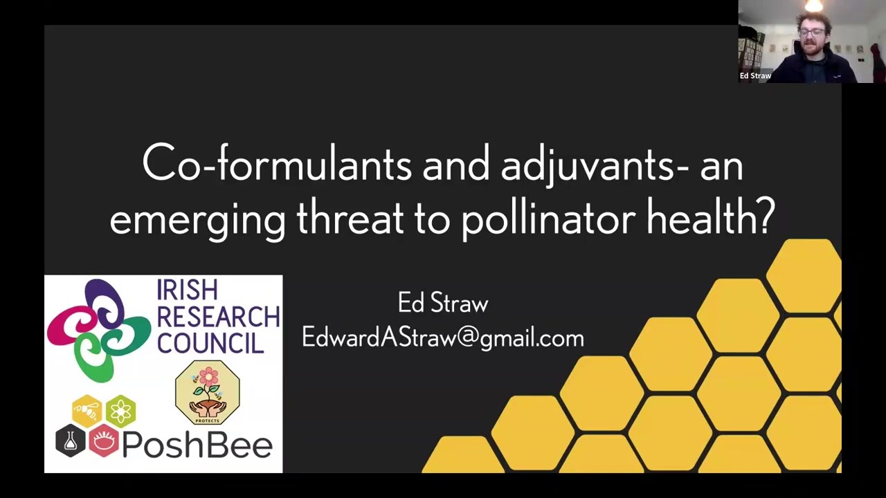 The threat posed by ‘inert’ ingredients to bees