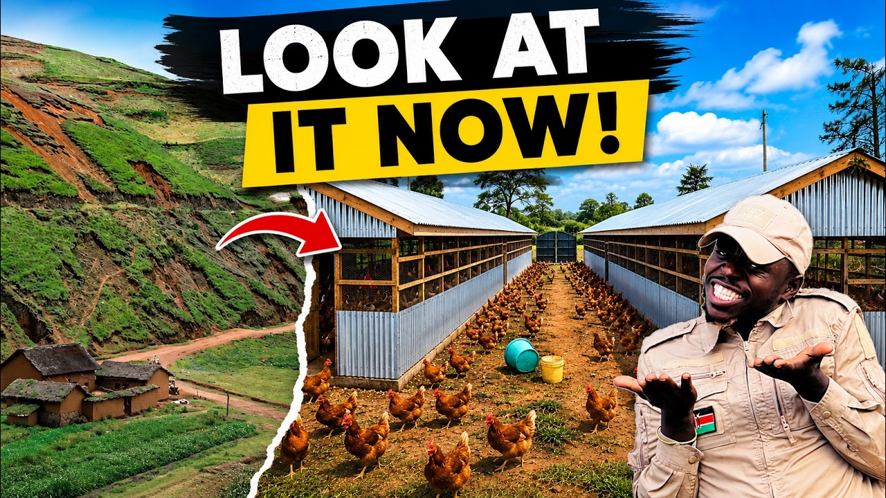 Everyone Said This Land Was Useless | Then We Built This Poultry Farm