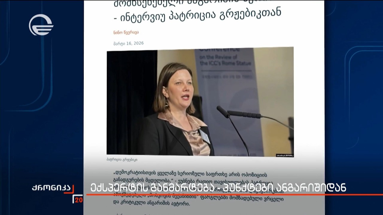 ექსპერტის განმარტება - პუნქტები ანგარიშიდან