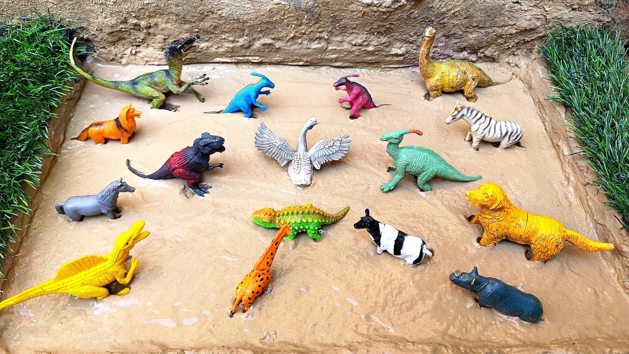 Cleaning toy animal zebra, fox, giraffe,dog, dinosaur, cow, rhino and horsh