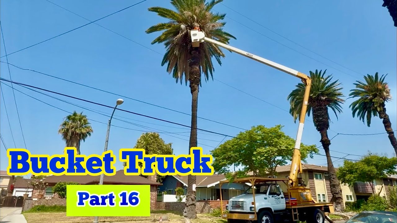 BUCKET TRUCK in Action (Part 16/20) | Tree Trimming Crew (Tree Surgeon) At Work